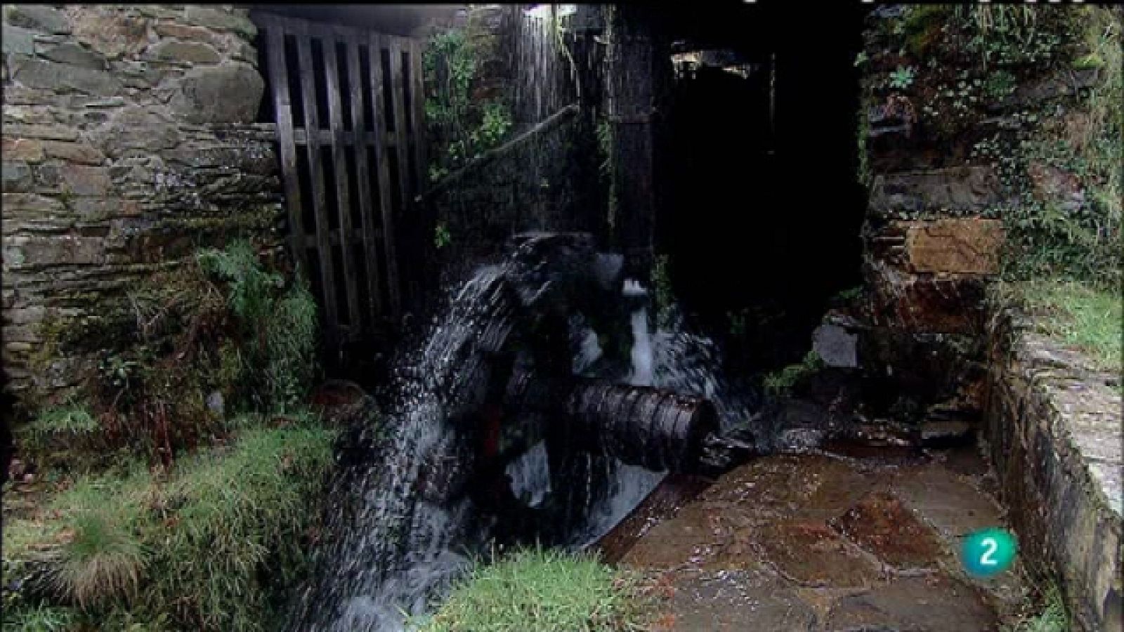 Biodiario - 21/12/10 - Biodiario | Ver