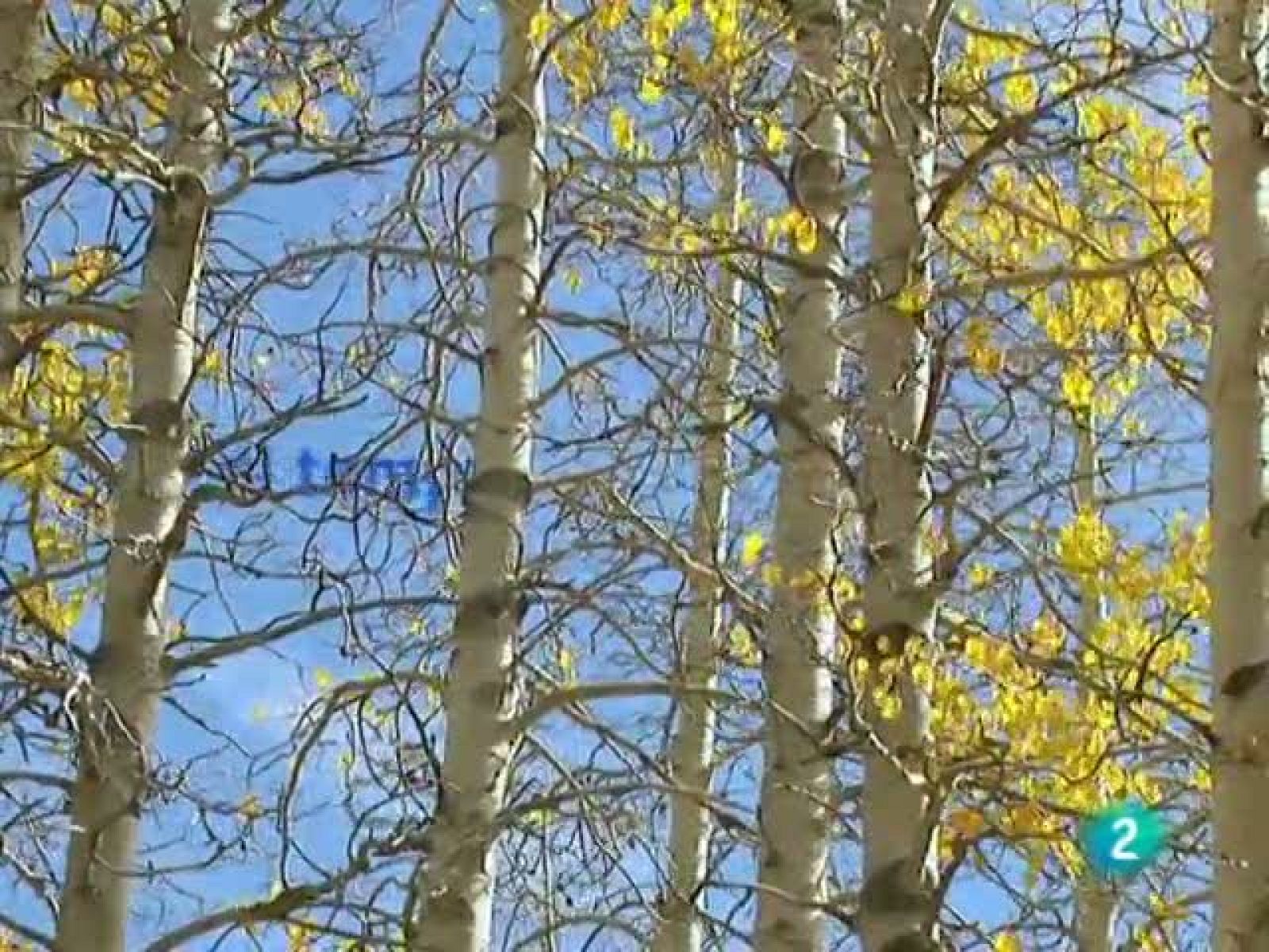 El temps (21-12-2010)