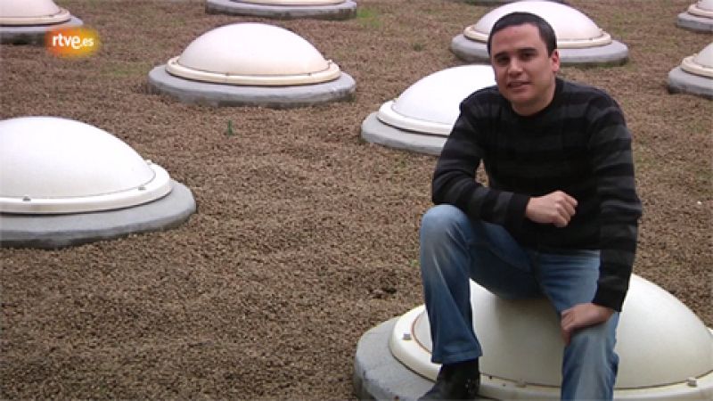 Los mejores momentos musicales de 2010: Diego Rodríguez | Ver