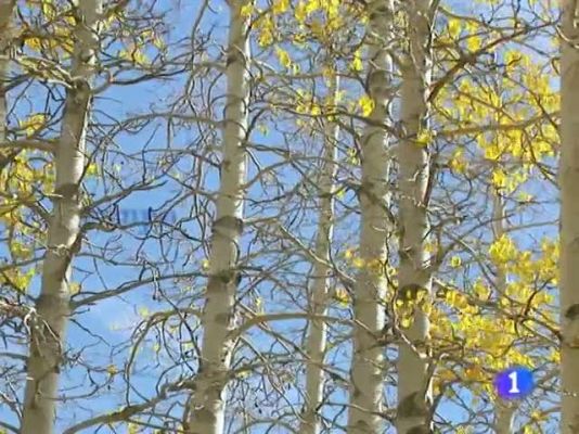 Telexornal - Galicia - El tiempo en Galicia - 22/12/10