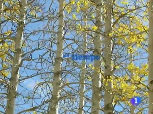 Noticias Murcia - El tiempo en la Región de Murcia - 22/12/10