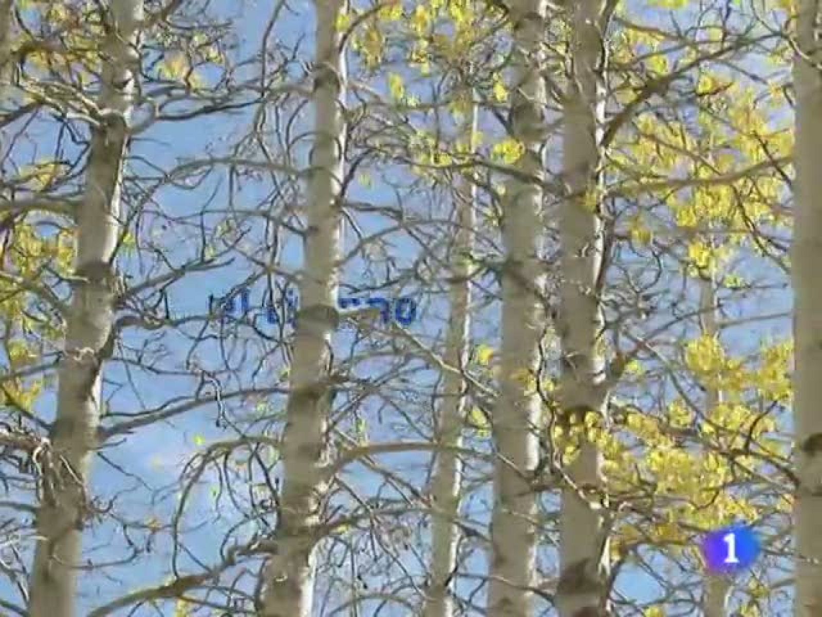 El tiempo en La Rioja - 22/12/10 | Ver