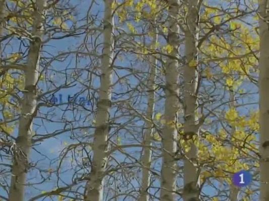 Noticias de Castilla-La Mancha - El tiempo en Castilla-La Mancha - 22/12/10