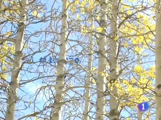 Noticias de Castilla y León - El tiempo en Castilla y León - 22/12/10