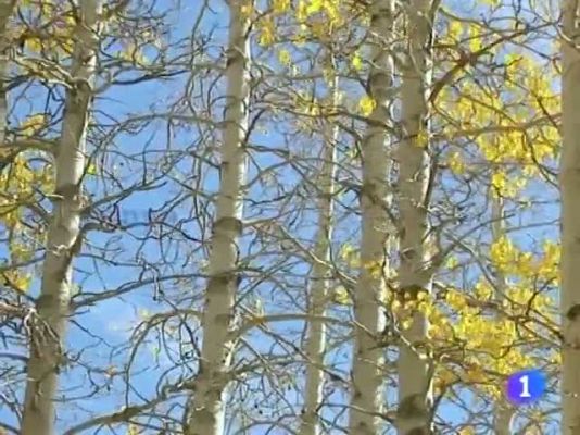 Noticias Andalucía - El tiempo en Andalucía - 20/12/10