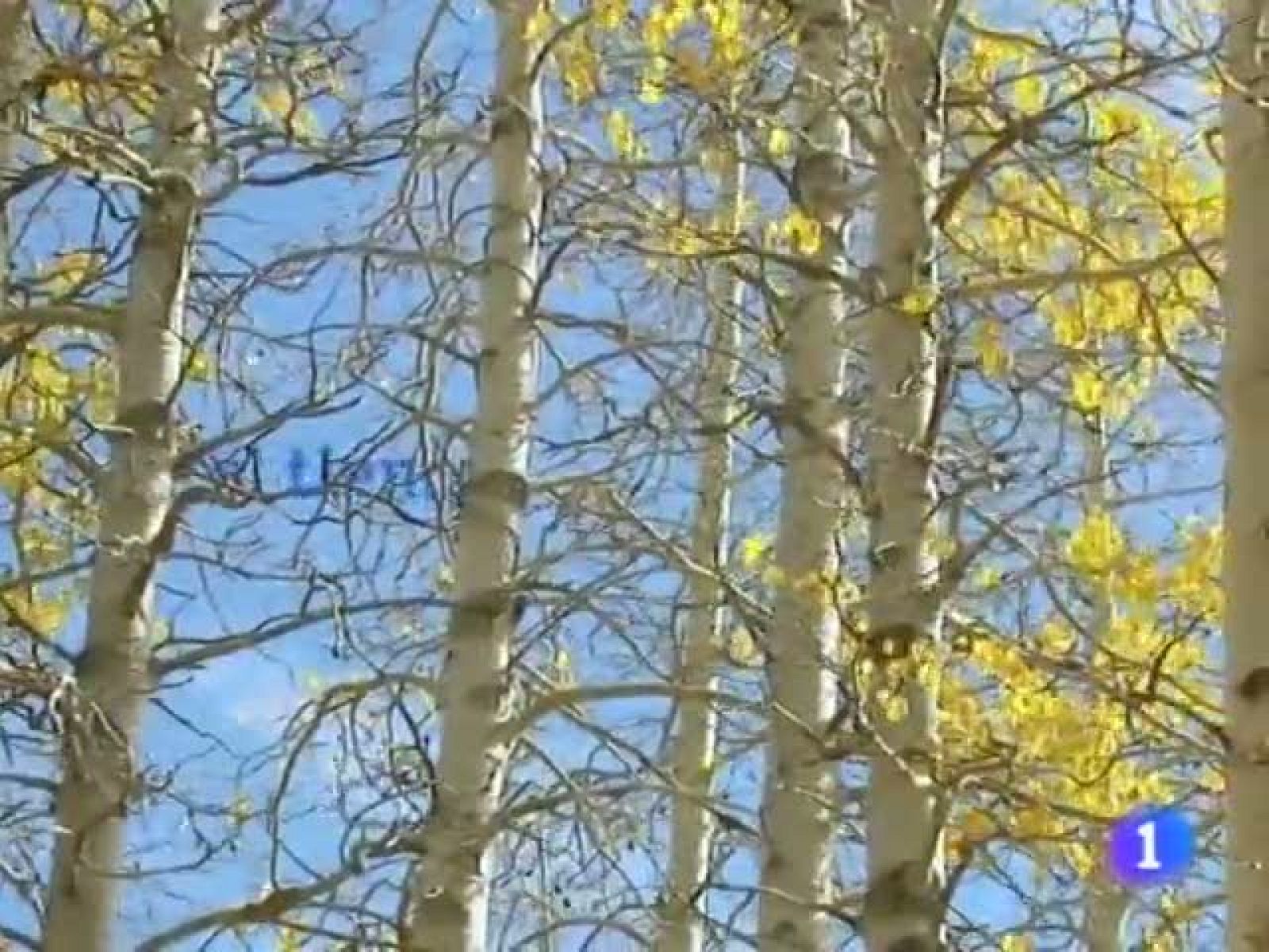 El tiempo en Andalucía - 21/12/10 | Ver