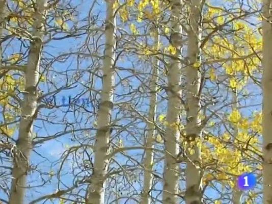 Noticias Andalucía - El tiempo en Andalucía - 21/12/10