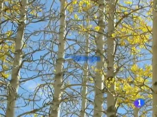 Telecanarias - El tiempo en Canarias - 23/12/10