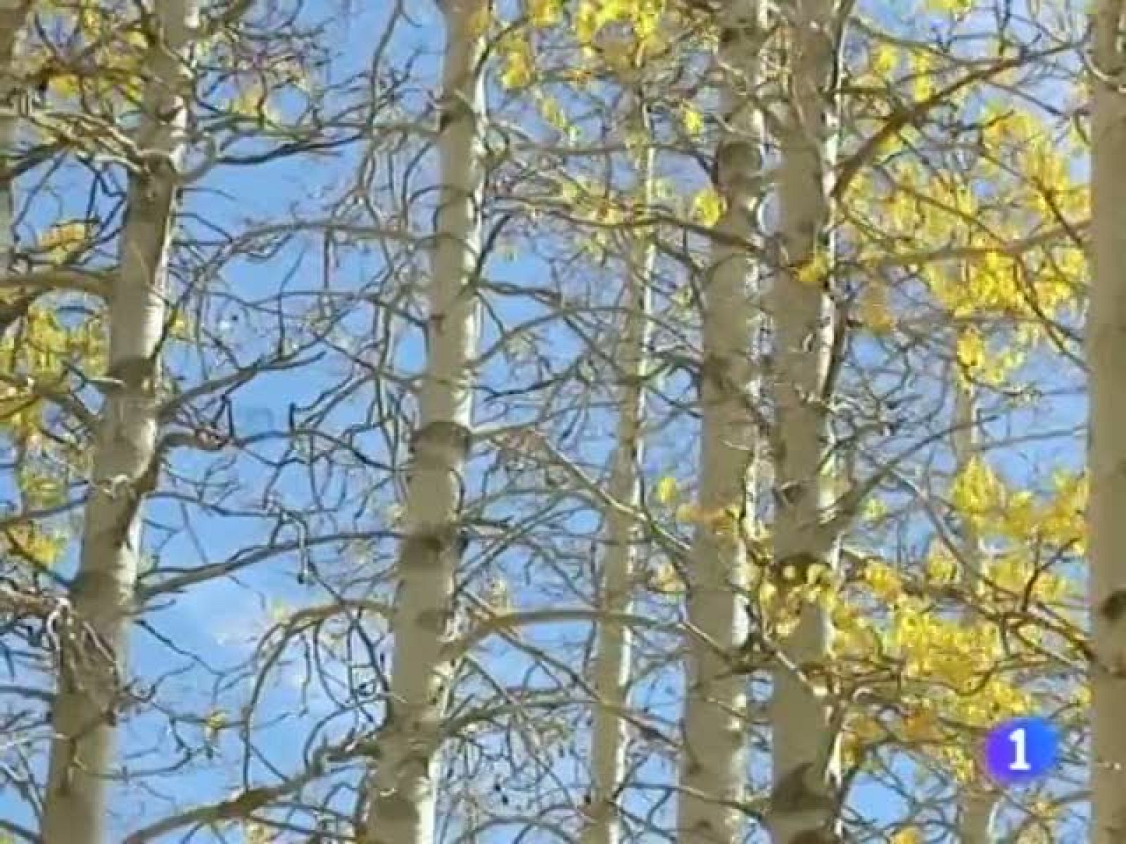 El tiempo en Andalucía - 23/12/10 | Ver