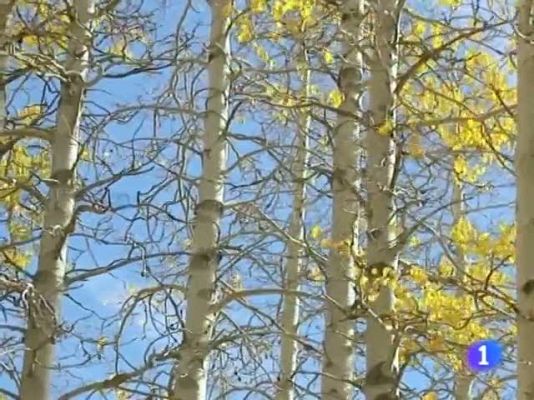 Noticias Andalucía - El tiempo en Andalucía - 23/12/10