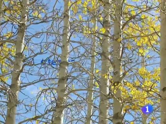 Telexornal - Galicia - El tiempo en Galicia - 24/12/10