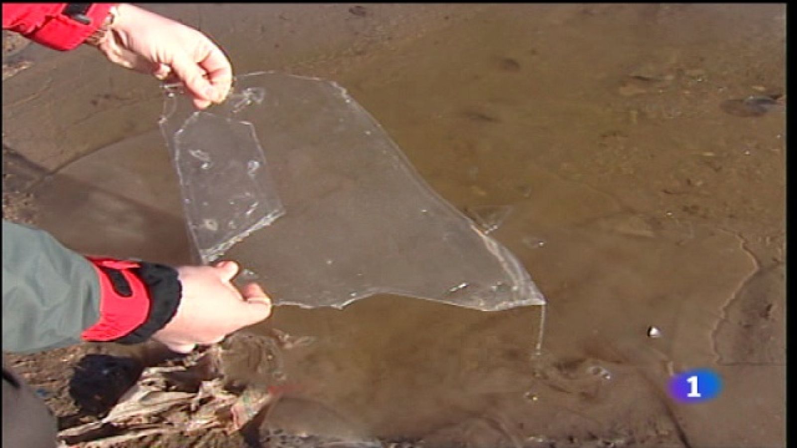 Telediario - 15 horas - 26/12/10 | Ver