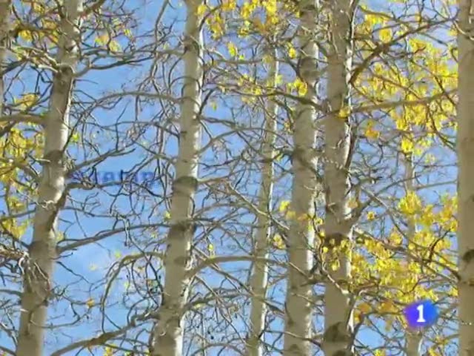 El tiempo en la Comunidad de Galicia - 28/12/10