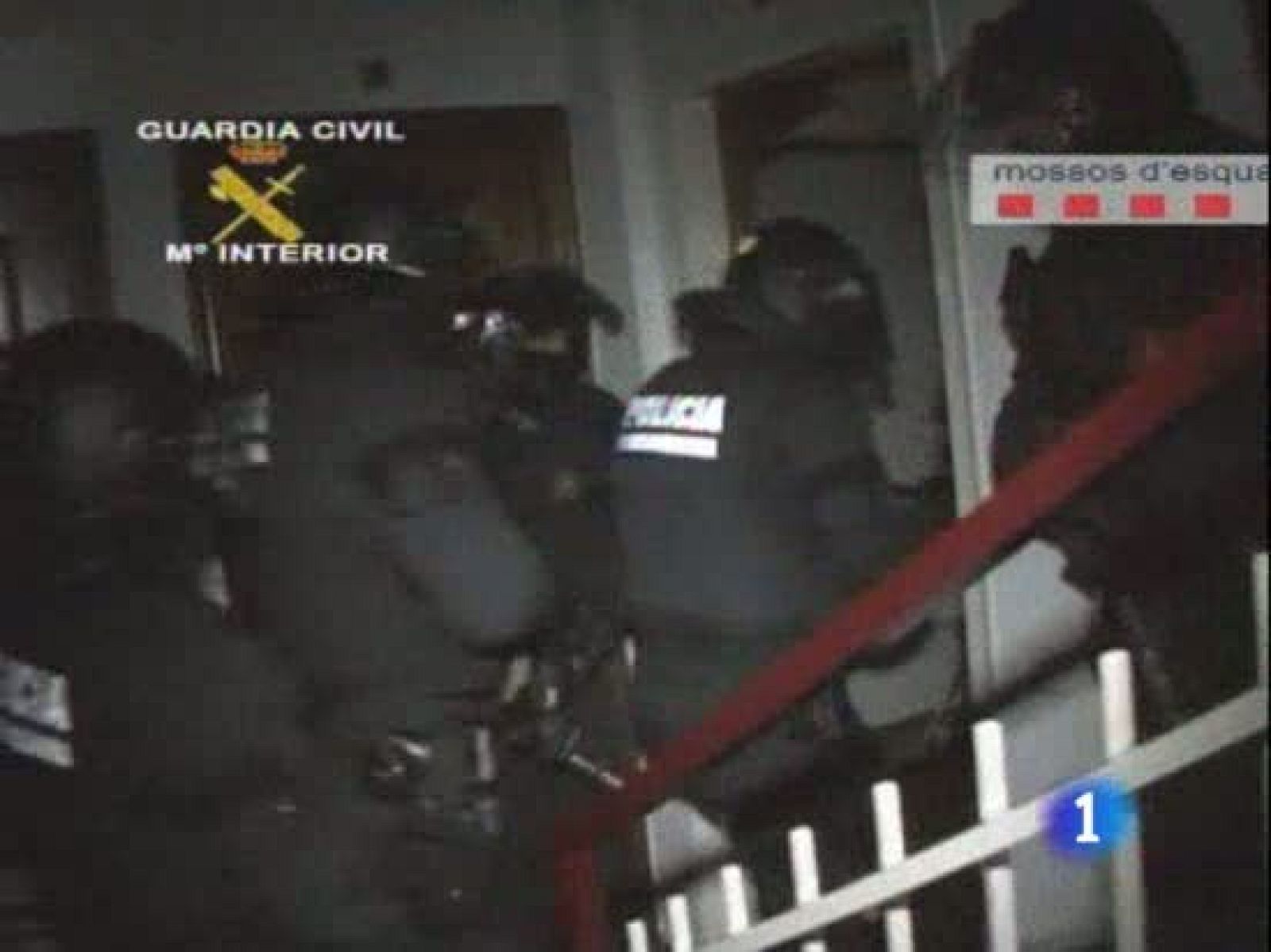 La operación contra la red pedófila 'Protégenos' se salda con 12 detenidos