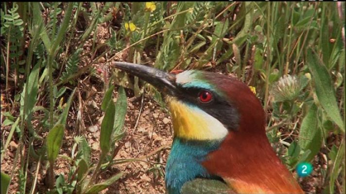 Biodiario - Biodiario - 28/12/10