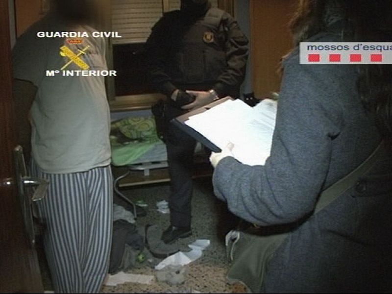 En prisión 5 de los 12 detenidos en una operación contra la pederastia en internet | Ver