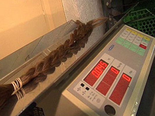 España Directo - Pelo al peso