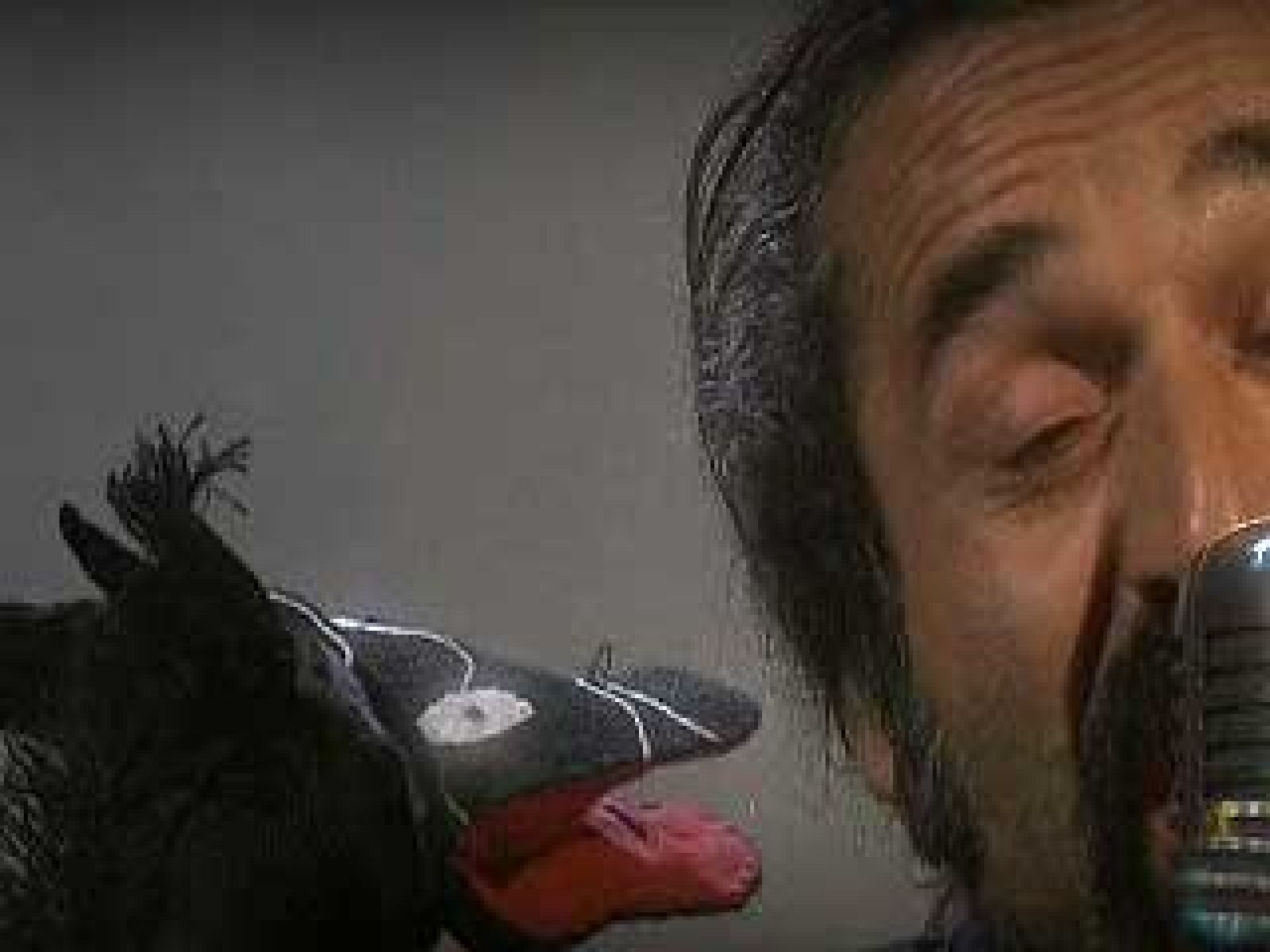 Zzz - Cuento de buenas noches - Duerme tranquilo