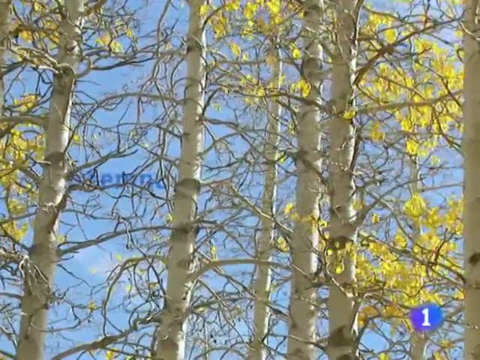 El tiempo en la Comunidad de Galicia - 29/12/10