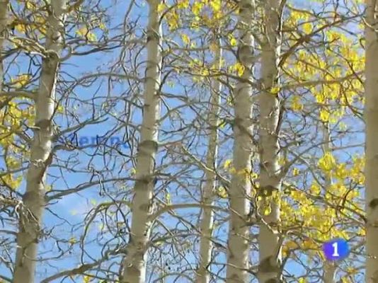 Telexornal - Galicia - El tiempo en Galicia - 29/12/10