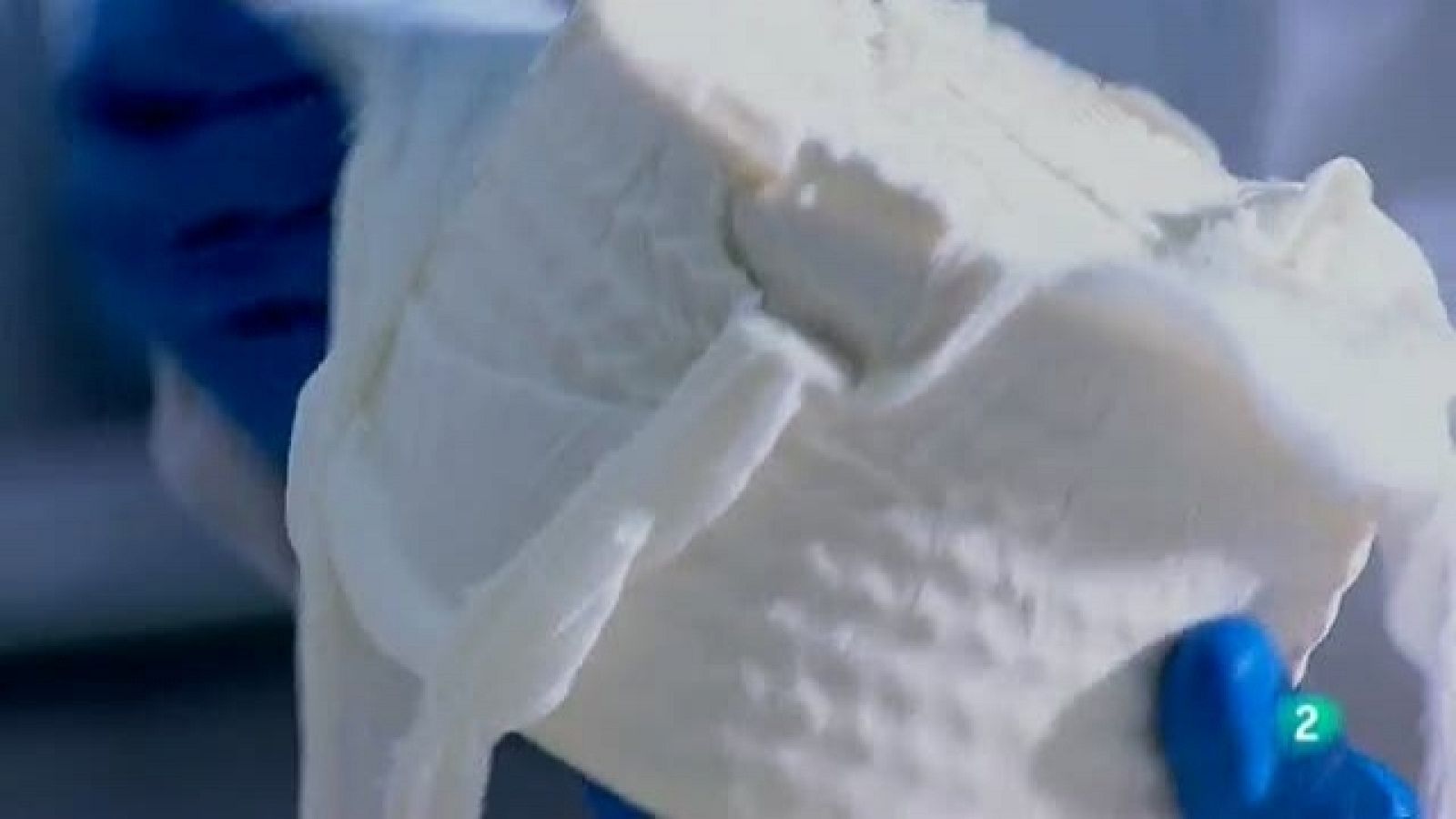 Biodiario - 29/12/10 - Biodiario | Ver