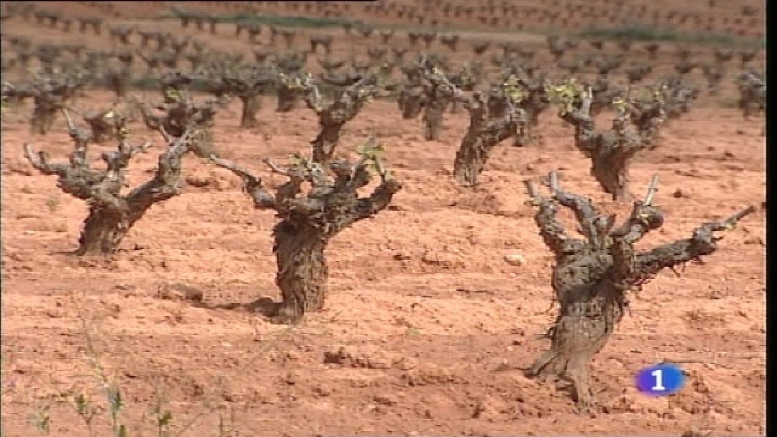 L'Informatiu Comunitat Valenciana - 30/12/10 - L'informatiu - Comunitat Valenciana | Ver