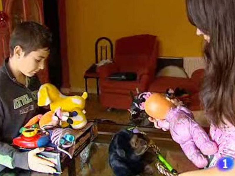 Juguetes solidarios: aprendiendo a compartir | Ver