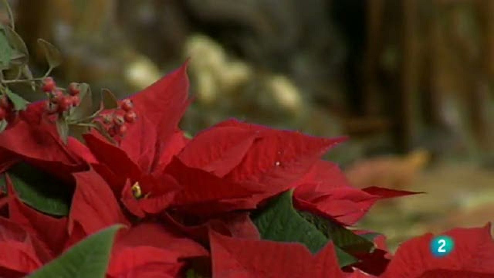 La Missa: 2 gener 2011