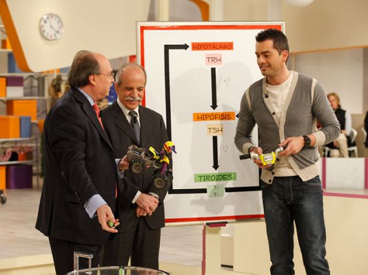 La mañana - Problemas de tiroides