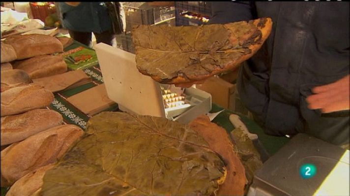 Biodiario - Biodiario - 04/01/11