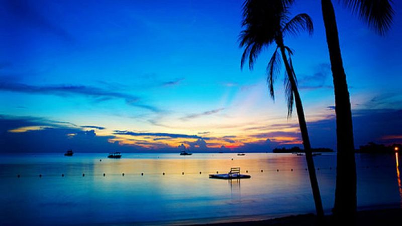 Espa�oles en el mundo - Jamaica | Ver