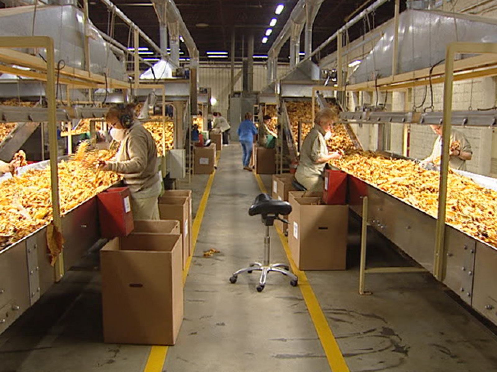 La ley antitabaco preocupa a los productores cacereños de tabaco | Ver