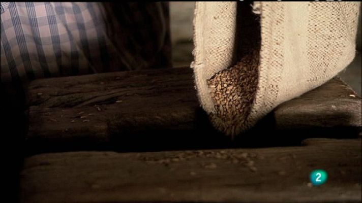 Biodiario - Biodiario - 05/01/11