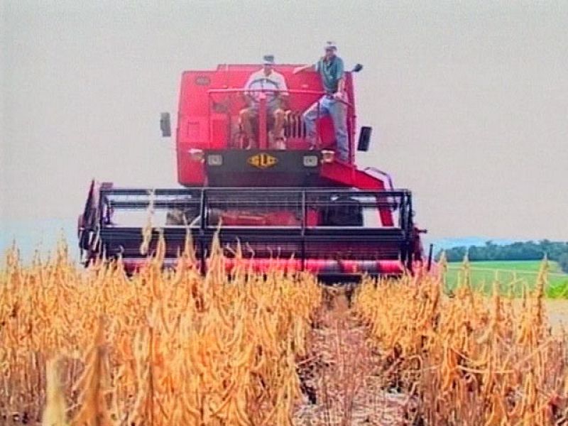 El precio de los alimentos básicos en el mundo sube un 25% en un año