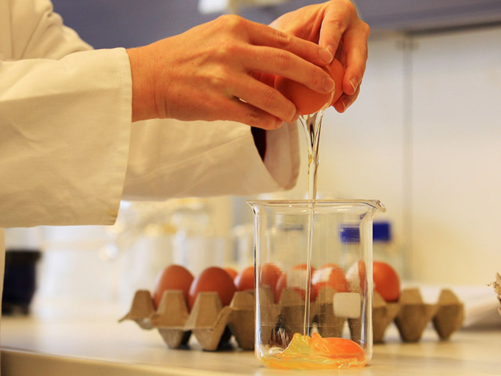 Carne y huevos contaminados con dioxinas