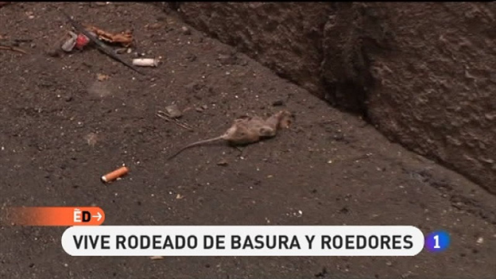 España Directo - 09/01/11 - España Directo | Ver