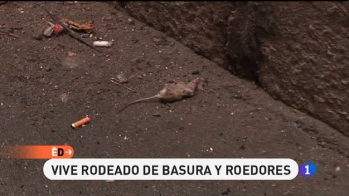 España Directo - España Directo - 09/01/11