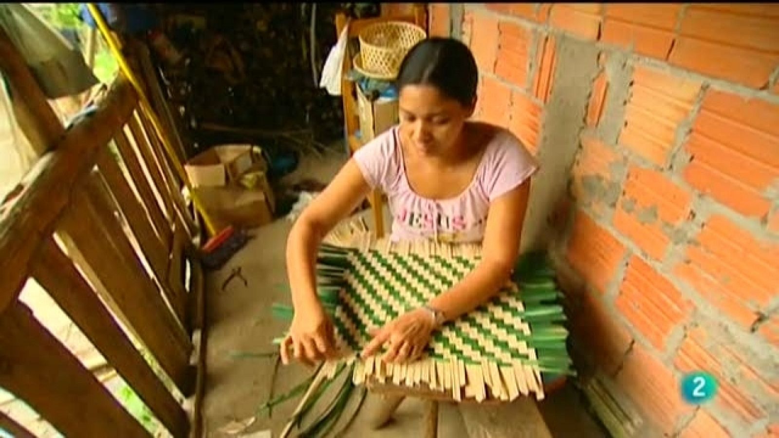 La aventura del saber - 10/01/11 - La aventura del Saber | Ver