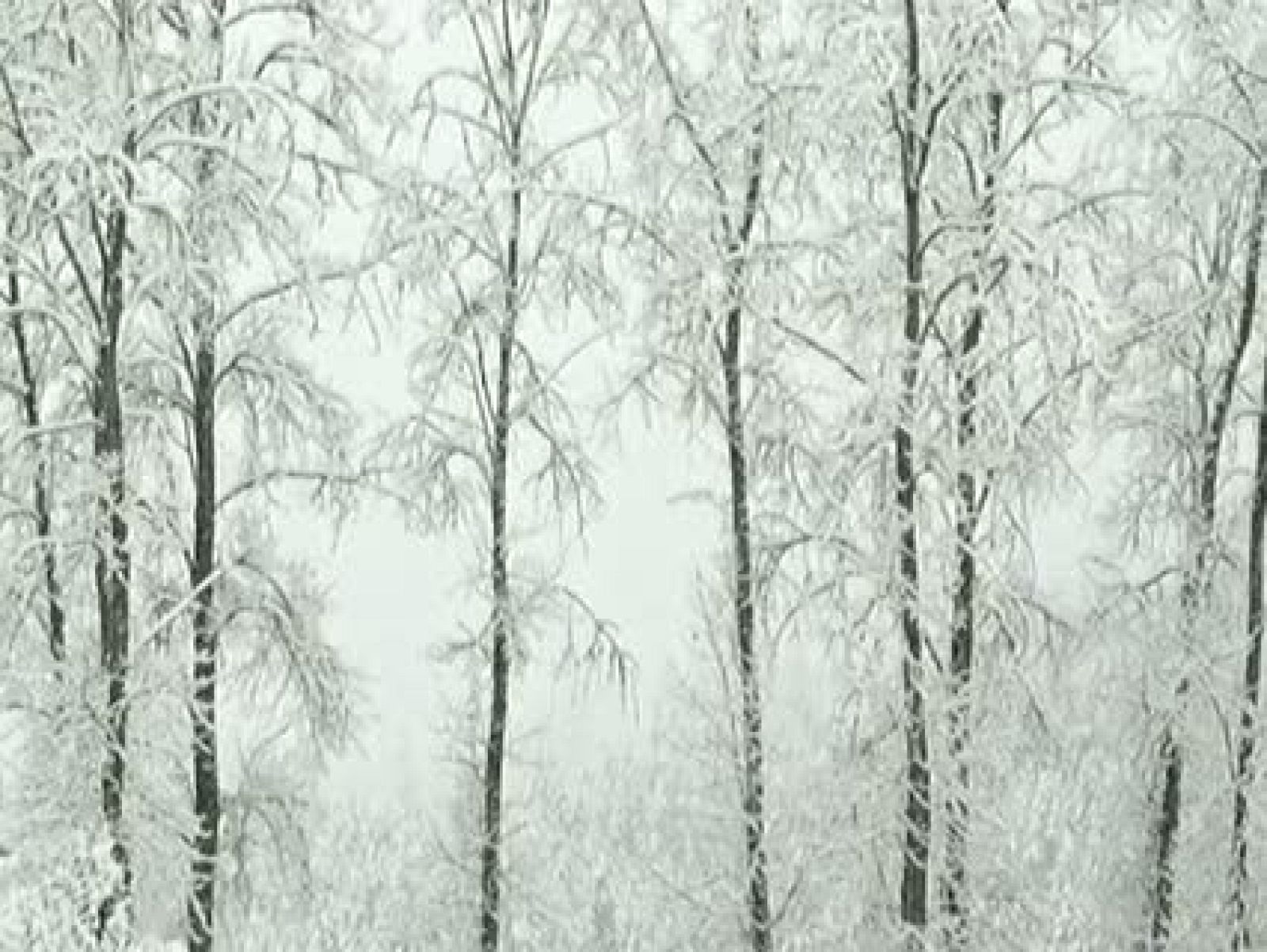 El tiempo en la Comunidad de Galicia - 10/01/11