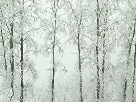 Telexornal - Galicia - El tiempo en Galicia - 10/01/11