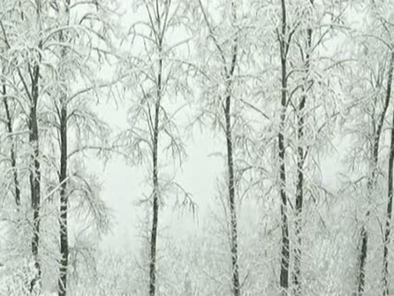El tiempo en la Comunidad de Galicia - 10/01/11