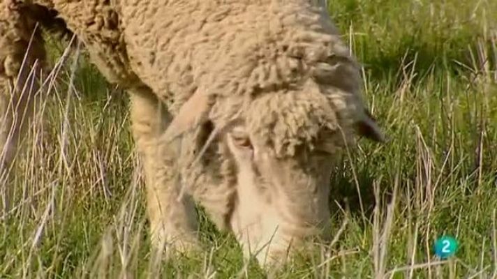 Biodiario - Biodiario - 11/01/11