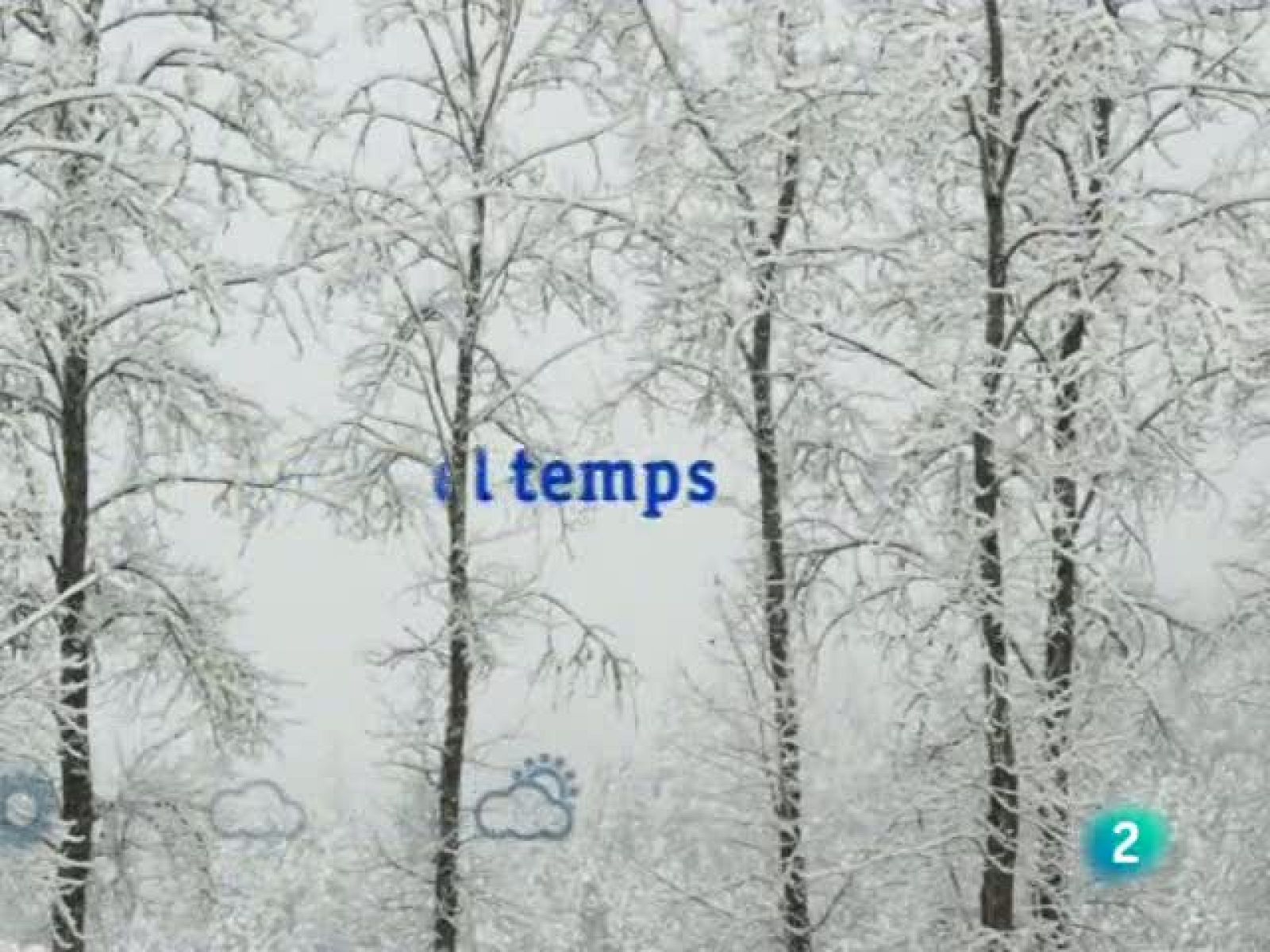 El temps (11-01-2011)