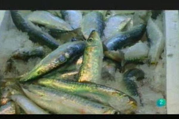 Para todos La 2 - El pescado azul