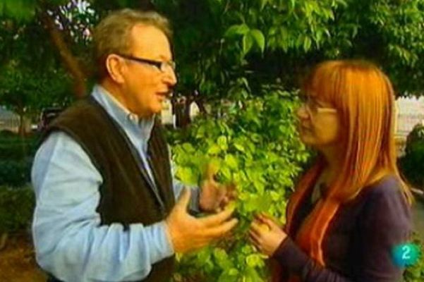 Para todos La 2 - Jimmy Boyd