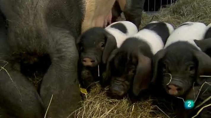 Biodiario - Biodiario - 12/01/11