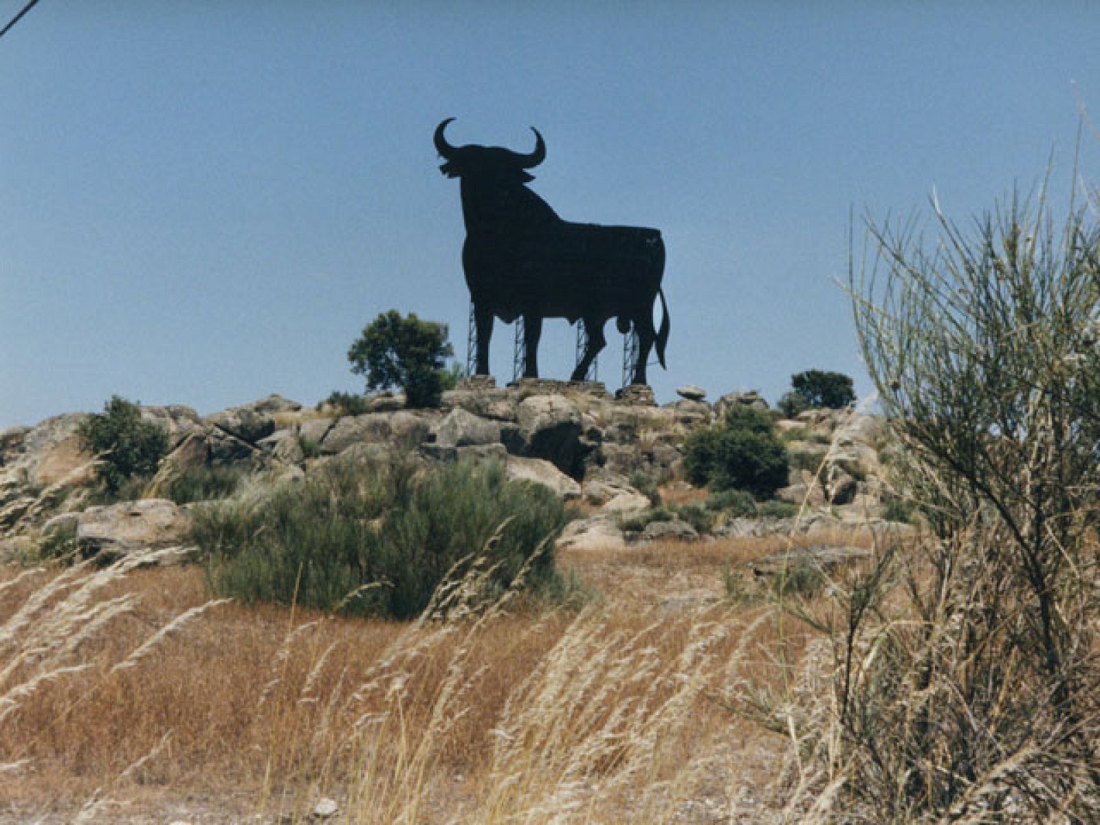 'Los anuncios de tu vida'