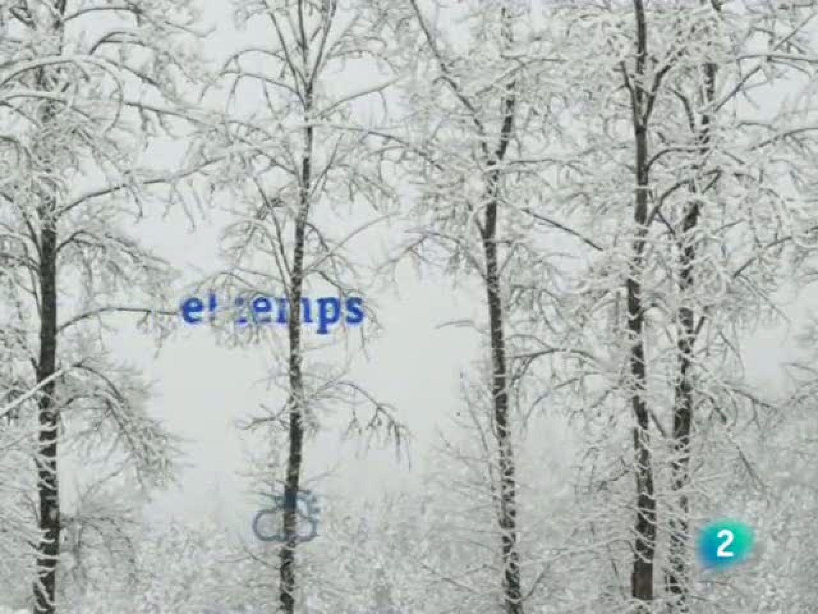 El temps (12-01-2011)