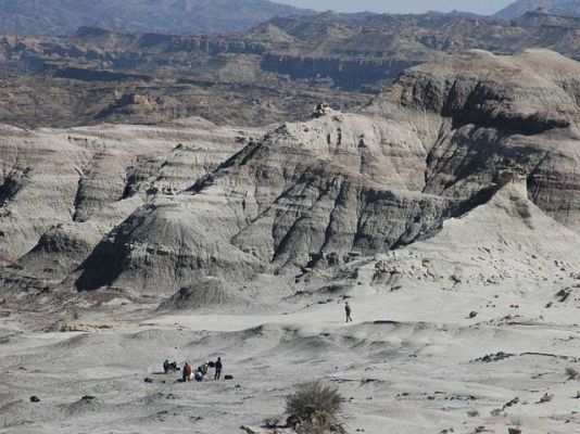 Ciencia y tecnología en Rtve.es - Vista área de la excavación de Ischigualasto donde ha aparecido el Eodromaeus