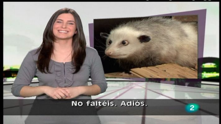 En lengua de signos - En lengua de signos - 15/01/11